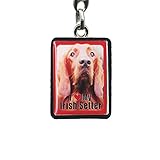 setter irlandais suisse Dimensions : 4 x 3 cm. Porte clef j aime mon setter irlandais