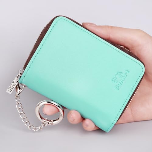 Image of FurArt Zipper Wallet Women, RFID Blocking Credit Card Wallet, Business Card Holder, Compact Size KeyChain Wallet, Lake Blue, small, Classic