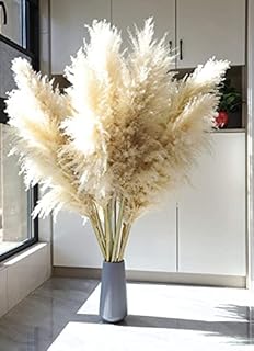 NaturalNH Large Pampas Grass Dried Decor - 3 Stems White Natural Pampas Grass, 39inch/100cm Fluffy Reed Bouquet, Suitable for Wedding and Boho Home Decor