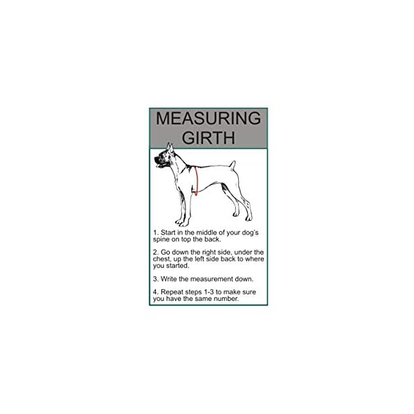 DO NOT PET Dog Vest Harness with Removable Patches and Reflective Trim. Comes with 2 DO NOT PET Reflective Removable Patches. Please Measure Dogs Girth Before Purchase DO NOT PET Dog Vest Harness with Removable Patches and Reflective Trim. Comes with 2 DO NOT PET Reflective Removable Patches. Please Measure Dogs Girth Before Purchase