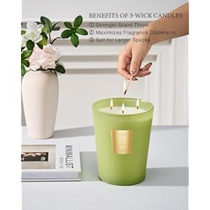 M&SENSE Basil Ginger Scented Candle Home Decor, Extra Large 3 Wick Natural Soy Wax Candles for Home Scented, Christmas Candles Gift for Winter Holiday, 150 Hours Long Lasting Slow Burning, 35 OZ MSENSE Basil Ginger Scented Candle Home Decor Extra Large 3 Wick Natural Soy Wax Candles for Home Scented Christmas Candles Gift for Winter Holiday 150 Hours Long Lasting Slow Burning 35 OZ