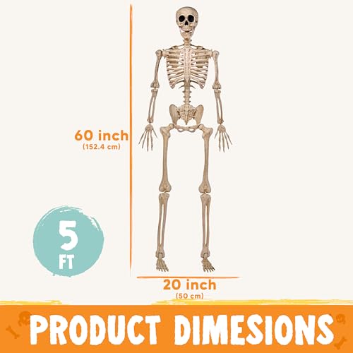 JOYIN 5 FT Halloween Skeleton Life Size の商品画像 7