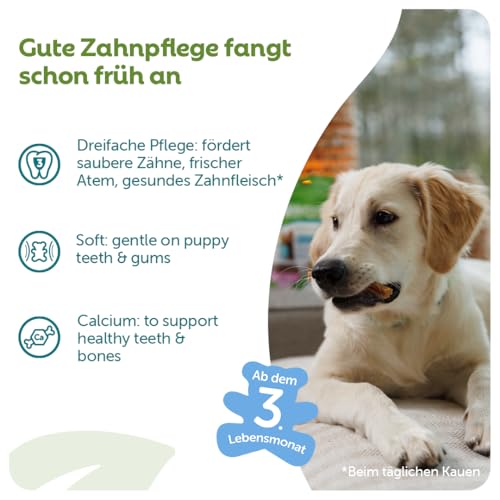 WHIMZEES Puppy Stix, Kauknochen für kleine Welpen, Hundesnack zur Zahnpflege, Größe XS/S, 28 Stück, ohne Zuckerzusatz, getreidefrei, natürlich, fettarm
