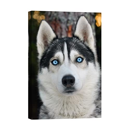 Tableau sur toile animaux dca088-2 grand format phosphorescent 80 x 120 cm