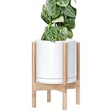 D'vine Dev Ceramic Pot with Natural Wood Stand, White, 10 in, 55-B-K-1
