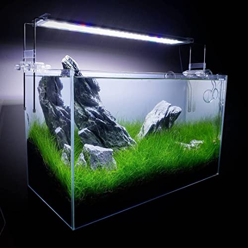 Aquarium Grass Plants Seeds Water Plant Seeds, 0.18Oz/Pack Water Grass Seed For Fish Tank Decoration, Creates Lush Green Carpet Plant A51 #TOP5