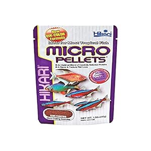 Hikari Usa Inc AHK21108 fish tropical Micropellets 1.58-Ounce