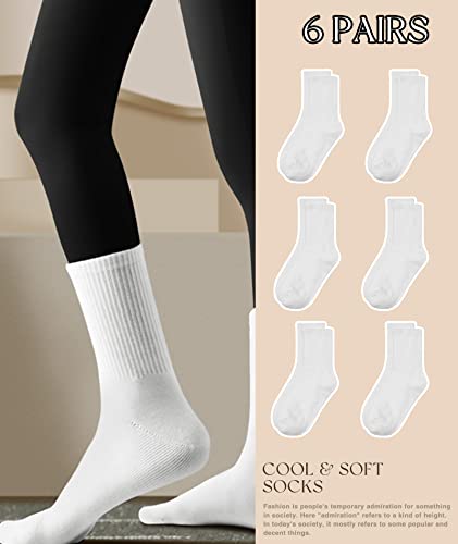 HAVE A TREE 3-6 Pack Womens Crew Lightweight Thin Casual Calf Socks Size 6-114