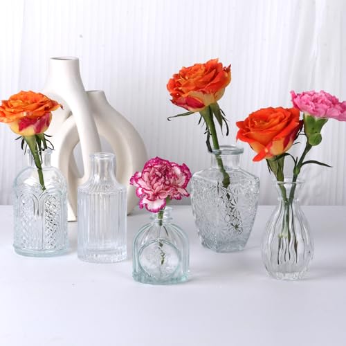 image for STARSIDE Set of 30 Clear Glass Bud Vase in Bulk,Small Vintage Bud Vase