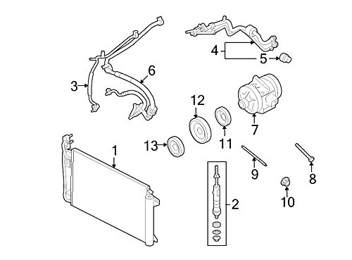 Amazon.com: Ford W520413-S441 - Nut : Automotive 