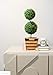 Admired By Nature 18 Inch Artificial Boxwood Topiary Plants - 2 Ball-Shape Faux Topiaries with Planters for Home Decor, Office Desk, Front Porch Indoor and Outdoor - Green with Black Pot, 1 Pack