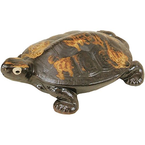 Amazon.co.jp: 信楽焼 亀・6号（全高6cm×全幅17cm） : ホーム＆キッチン