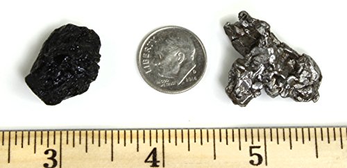 Dancing Bear Genuine Meteorite (15-20 Grams) From Campo Del Cielo In Argentina. Bonus: Tektite (2.5-4.5 Grams), Certificate Of Authenticity, Educational Info Cards And Display Box, Brand #TOP16