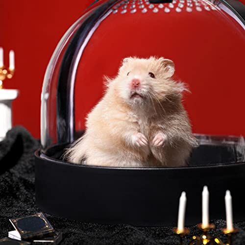 Gaiola de Hamster de viagem,Estojo transparente para animais de estimação para hamster - Porta-aviõe