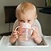 Dr. Brown's Milestones™ Cheers360™ Training Sippy Cups with Handles for Babies and Toddlers, BPA Free, Pink Animal Deco, 7oz, 6m+