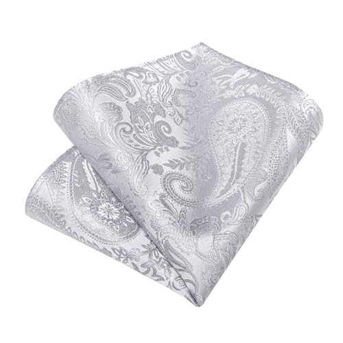 Image of DiBanGu Silk Floral Ties for Men Woven Paisley Necktie and Tie Clip Handkerchief Cufflinks Set for Party Wedding