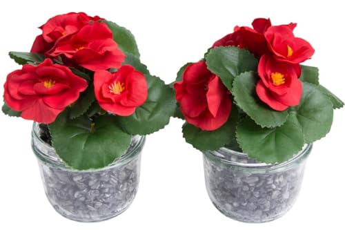Botanic-Haus künstliche Frühlingsblume Mini-Begonie mit 5 Stielen im Glas (2 Stück) (rot)