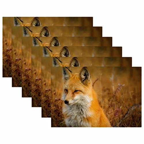 Sets de table pour tables à manger Fox Closeup, lot de 6 pièces thermorésistantes