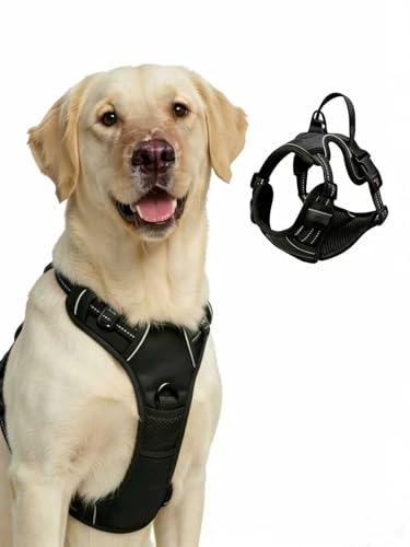 Fellstern Anti-Zieh-Geschirr,Anti-Zieh Hundegeschirr mit Step-in Design – Atmungsaktiv & Gepolstert-Für entspanntes Spazierengehen – Für Hunde jeder Größe(Größe L)