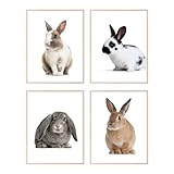 Insire Bunny Nursery Print, Nursery Bunny Pictures, Bunny Poster, Bunny Wall Art, Rabbit Wall Decor, Rabbit Wall Art - Unframed (8x10”)