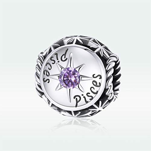 Image of 12 Constellation Charms 925 Sterling Silver Crystal Zircon Charms Family and Friends' Birthday Charm Birthstone Charms for Women Bracelets