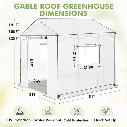 Image of EAGLE PEAK 8x8 Pop Up Walk in Greenhouse, Easy Setup, Gable Roof, White