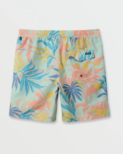 Quiksilver - Mens Everyday Mix Volley 17 Nb Shorts2