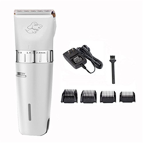 BAORUN - Kit di rasatura elettrico ricaricabile a