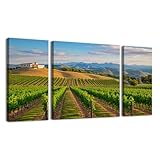 3 Panel Large Wall Art Prints Paintings California spring vineyard Temecula Valley CA Canvas Wall Art Living Room office Modern Home Wall Decor Framed Artwork Ready to Hang