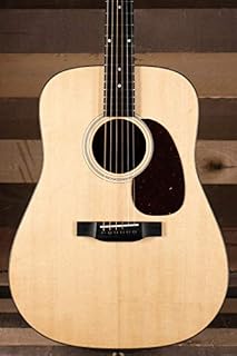 Eastman E1D Dreadnought Guitar with Gig Bag
