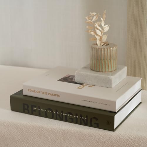 ZICOTO Beautiful Decorative Book Boxes – Set of 2 Faux