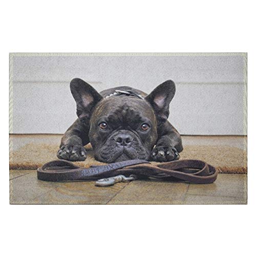 Mars & More - Fußmatte, Türmatte, Schuhabtreter - Französische Bulldogge - 75 x 50 cm