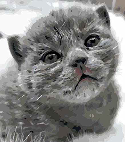 Point de Croix Broderie Estampée Chat Noir : Kit Débutant Canevas 40x50cm