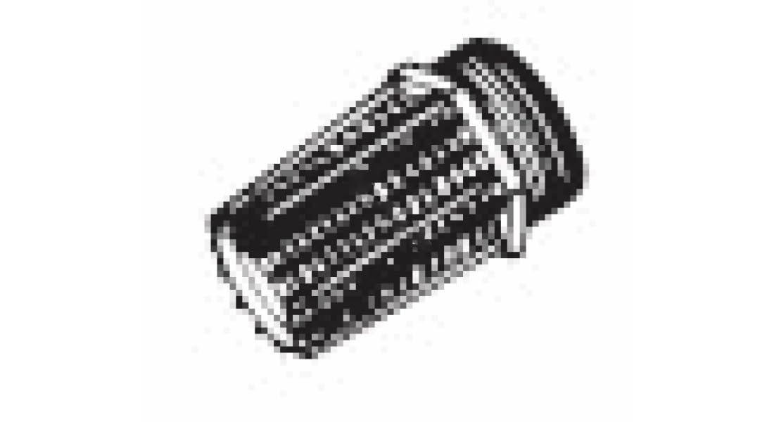 NDS KBI Flow Management x 2 in. PVC Foot Valve Screen - 1 Each