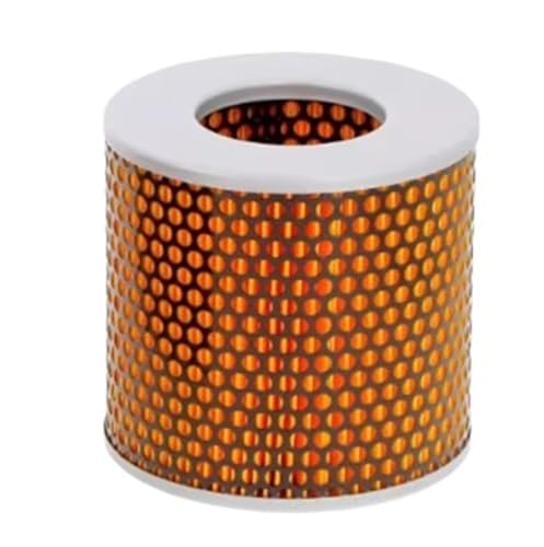 Filtre pour pompe à vide 84040210 pour stopper les baisses de pression