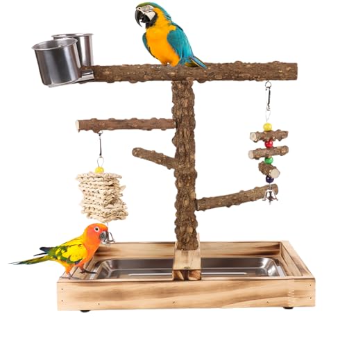 La Mejor Selección de Parques de juegos que puedes comprar esta semana. 50 Puesto De Juego Para Loros, Puesto De Juego De Madera Para Loros, Parque De Juegos Para Pájaros, Parque De Juegos Para Loros Con Comederos, Soporte De Actividades Para Pájaros,...