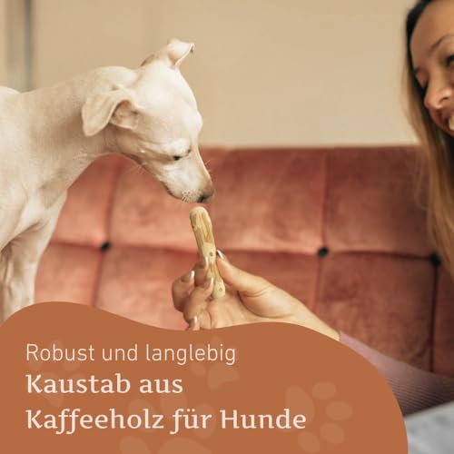 Wildfang® Kaffeeholz für Hunde – natürliches, unzerstörbares Kauspielzeug aus Kauholz für Aggressive Kauer & Welpen im Zahnwechsel, Zahnpflege Spielzeug Hund, Größe XXS (unter 5 kg)