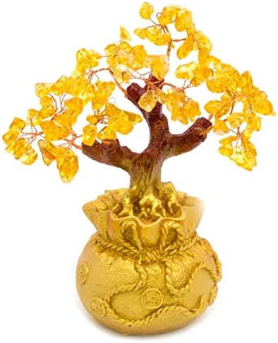 Árvore Da Fortuna Feng Shui Sorte E Riqueza Media Afm1