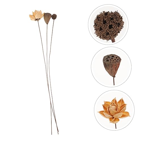 Tallos de loto secos decorativos naturales miniatura 7