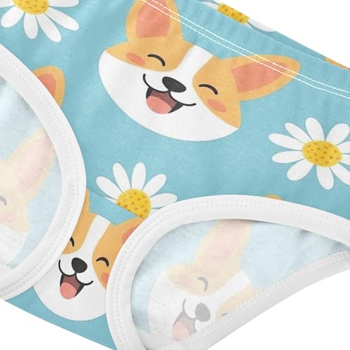 Toddlers Underwear Floral 2t Cotton Panties for Girl Fun Briefs Kids Undies Cute Puppy Dogs Floral Blue4