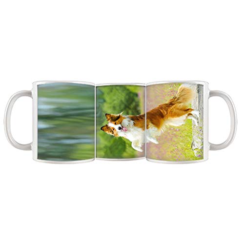 Compatible for cup unique for man printing collie ceramics
