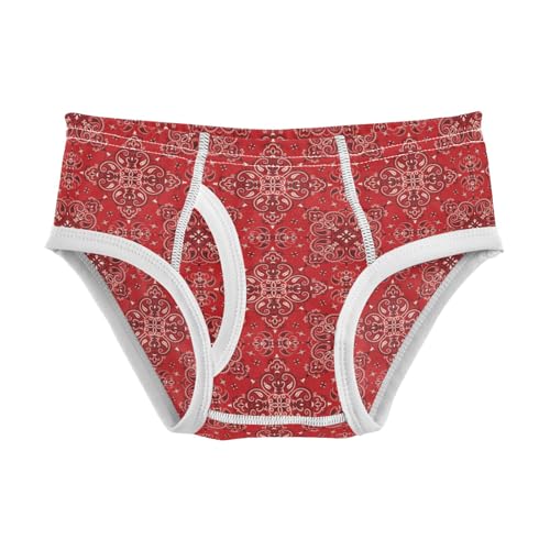 Boys' Exclusive Briefs Toddler Underwear 95% Combed Cotton Boxerbriefs 2T Red Ornate Pattern 35