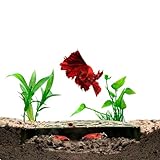 Shrimp Breeding Protector | Shrimp Breeding Cave Aquarium Tunnel | CTWPets (Forest Green)