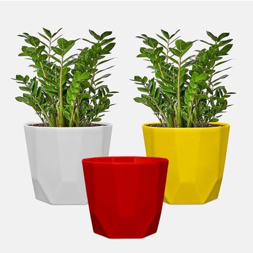 Image of YUCCABE ITALIA SHERA Hexa Plastic Planter Pot for Plants | Decorative Flower Pot | UV Protected Lightweight Indoor Outdoor Gamla for Home Decor, Balcony, Garden & Living Room