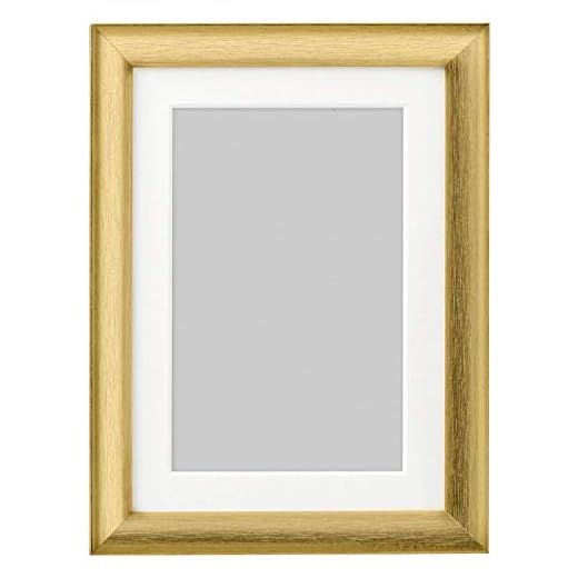 Digital Shoppy IKEA Fibreboard Photo/Poster Frame (Gold)