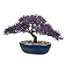 Künstlicher Lila Bonsai Baum – 24CM Podocarpus im Keramiktopf – Stilvolle Kunstpflanze für Home-Office & Inneneinrichtung