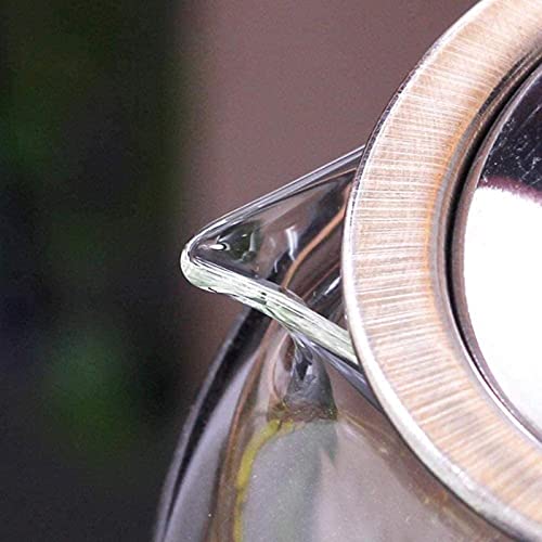 Bule de vidro transparente com infusor de aço inoxidável resistente ao calor, Infusor de bule de vid