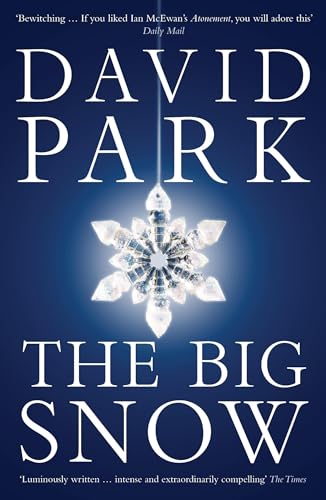 The Big Snow view 2