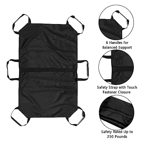 Support de transport robuste pour chiens et protection articulaire