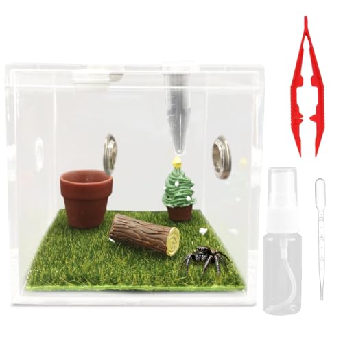 w偎P[X J}LE^`P[X ~jw偃{bNXP[W AN w偐 w偈Dƌ X^C3